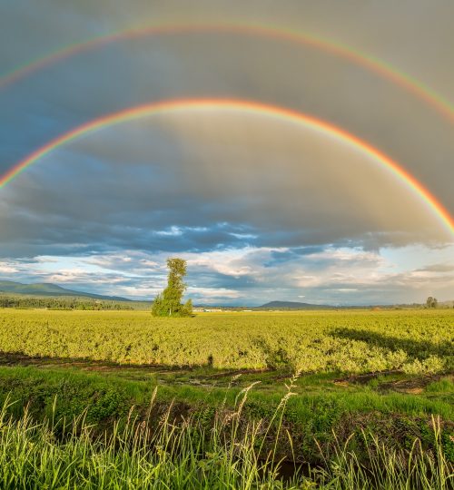 agriculture-clouds-cloudy-1542495